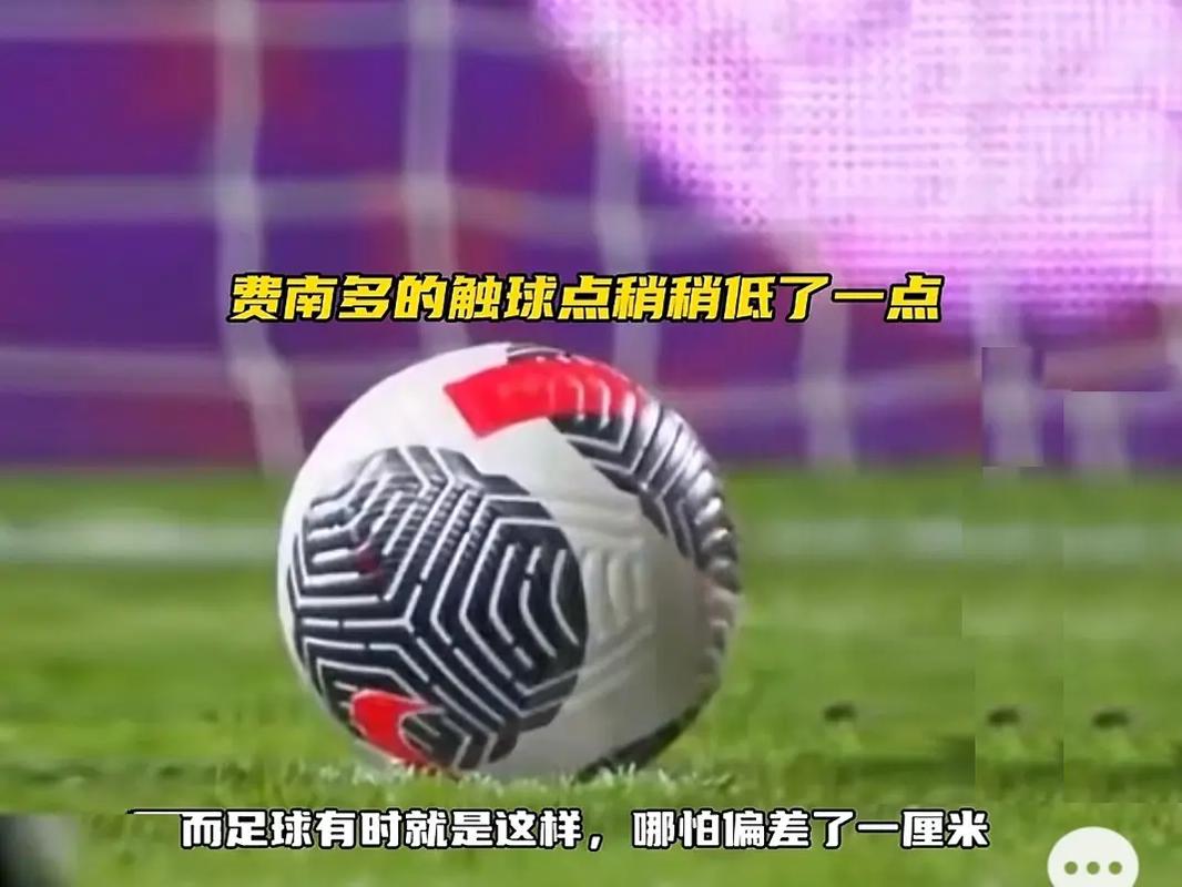 他的激情训